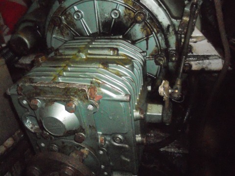 [Immagine: 201431619191_DSCN8251 resize.jpg]